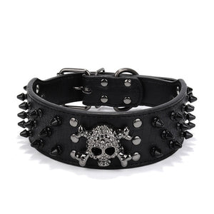 Skull and Spiked Dog Collar