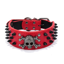 Load image into Gallery viewer, Skull and Spiked Dog Collar