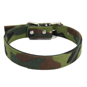 Dog Collar