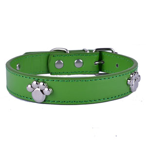 Dog Collar