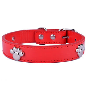 Dog Collar