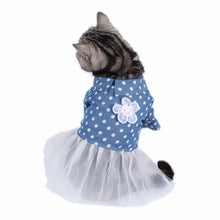 Load image into Gallery viewer, Cat Clothes