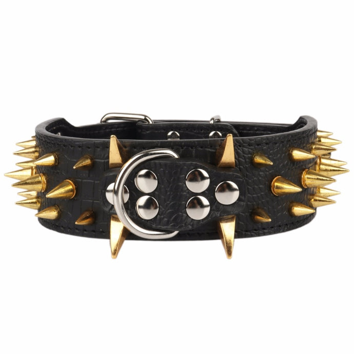 Spiked Dog Collar