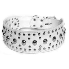 Load image into Gallery viewer, Dog Collar
