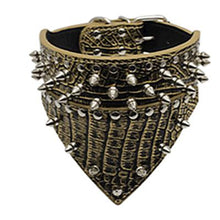 Load image into Gallery viewer, Cool Punk Style Collar