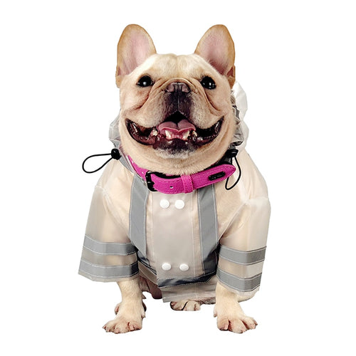 Dog Transparent Raincoats