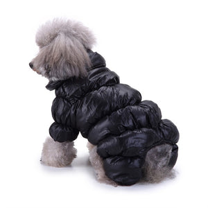 Winter Dog Clothes