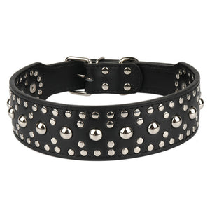 Dog Collar