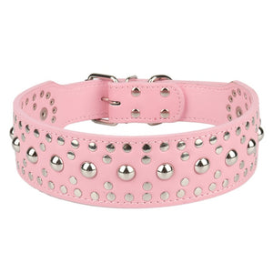 Dog Collar
