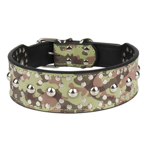 Dog Collar