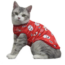 Load image into Gallery viewer, Cat Clothes