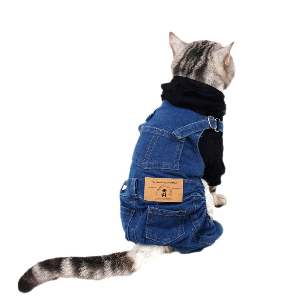 Cat Clothes