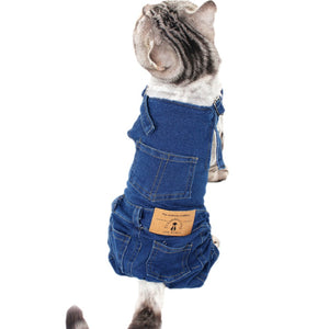 Cat Clothes