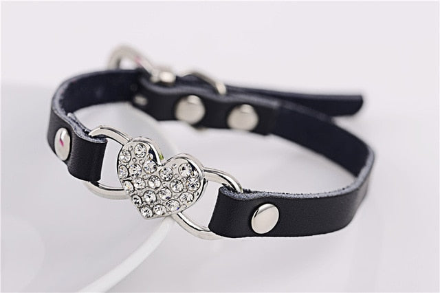 Cat Collars