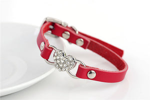 Cat Collars