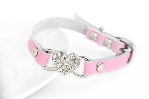 Cat Collars