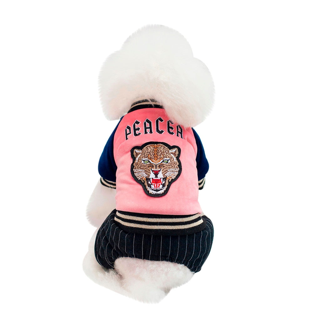 Dog jacket
