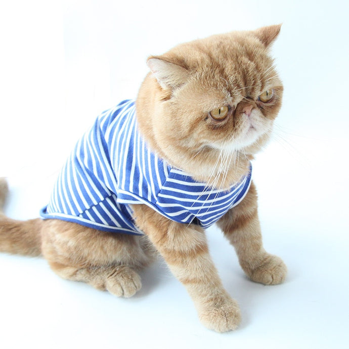 Cat Clothes