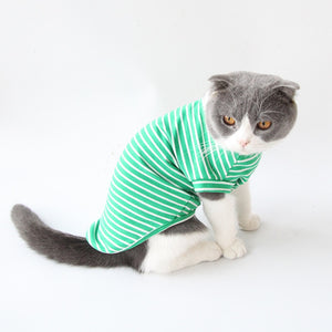 Cat Clothes