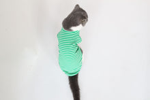 Load image into Gallery viewer, Cat Clothes