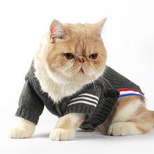 Load image into Gallery viewer, Cat Clothes