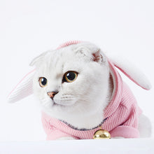 Load image into Gallery viewer, Cat Clothes